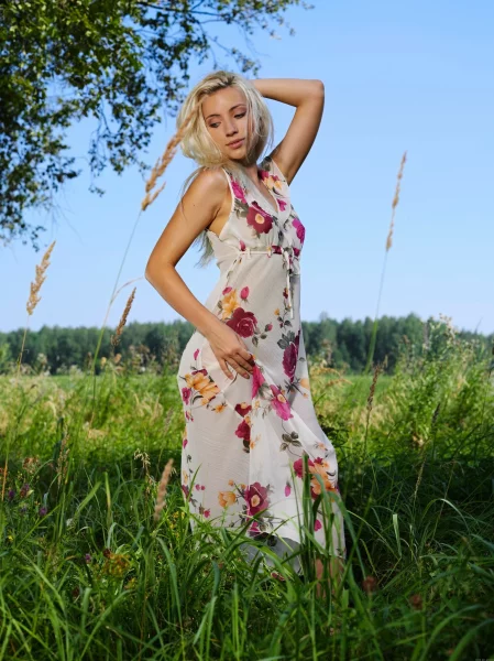 Воздушный шатер на цветочном лугу