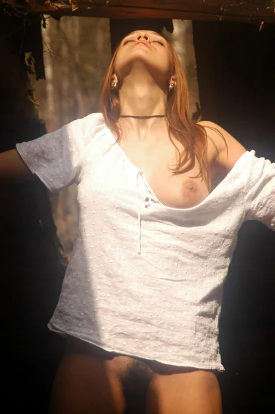 Композиции на лесной даче