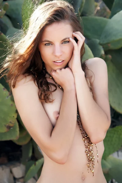 Истина в каждой детали